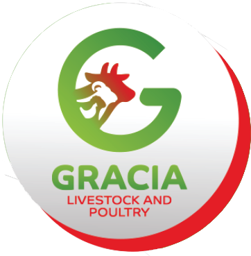 Gracia Studio Logo