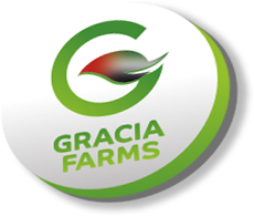 logo-9